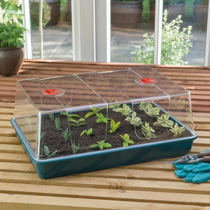 gewächshaus-fensterbank-tray Gewächshaus für die Fensterbank