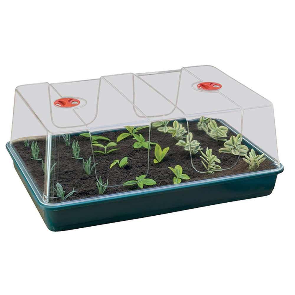 mini-gewaechshaus-anzucht-groß-hydroponik Mini-Gewächshaus für die Anzucht in Hydroponik, geeignet für einen Tray